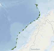 overview